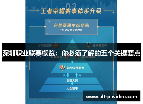 深圳职业联赛概览：你必须了解的五个关键要点