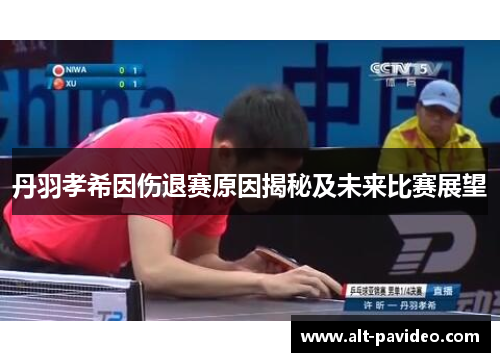 丹羽孝希因伤退赛原因揭秘及未来比赛展望