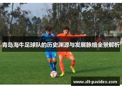 青岛海牛足球队的历史渊源与发展脉络全景解析