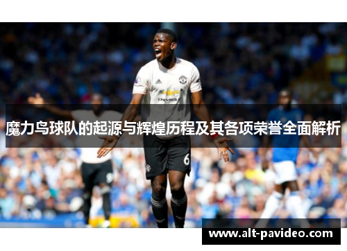 魔力鸟球队的起源与辉煌历程及其各项荣誉全面解析